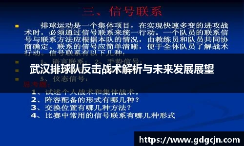 武汉排球队反击战术解析与未来发展展望