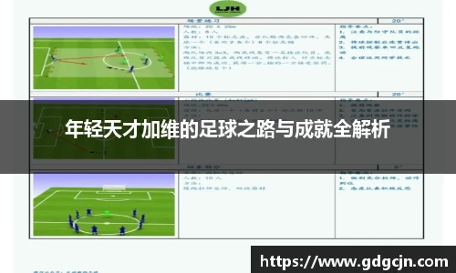 年轻天才加维的足球之路与成就全解析